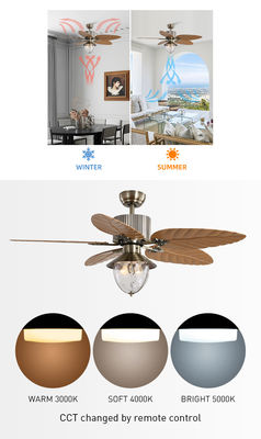 Lama ritrattabile invisibile telecomandata decorativa moderna di 4100k Crystal Ceiling Fan With Light