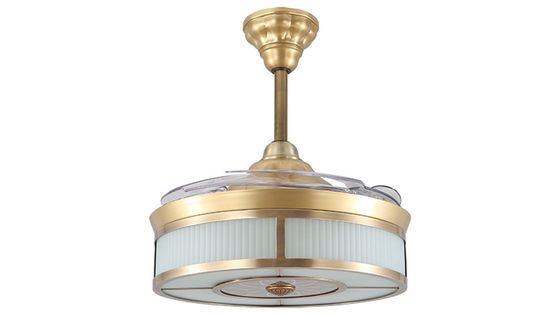 Pale invisibili ritrattabili telecomandate a 42 pollici della luce 220VAc del ventilatore da soffitto 3500K