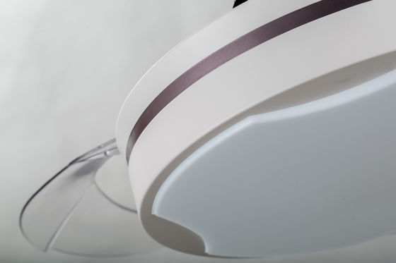 RoHS 42inch ha celato il ventilatore da soffitto di pala/ventilatore da soffitto del salone