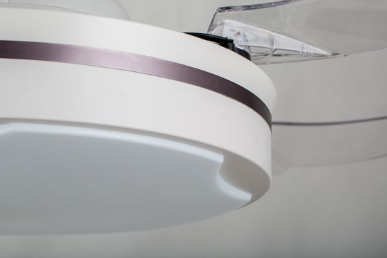 RoHS 42inch ha celato il ventilatore da soffitto di pala/ventilatore da soffitto del salone