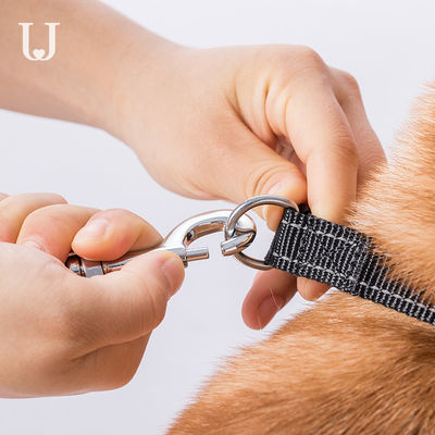 guinzaglio ritrattabile automatico dorsale del cane della trazione del guinzaglio di 5M Long Extendable Dog