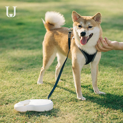 guinzaglio ritrattabile automatico dorsale del cane della trazione del guinzaglio di 5M Long Extendable Dog
