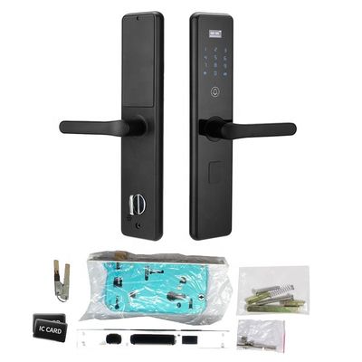 Serratura biometrica chiave nascosta Ce della maniglia di porta di Smart della serratura di porta dell'impronta digitale del foro 508dpi